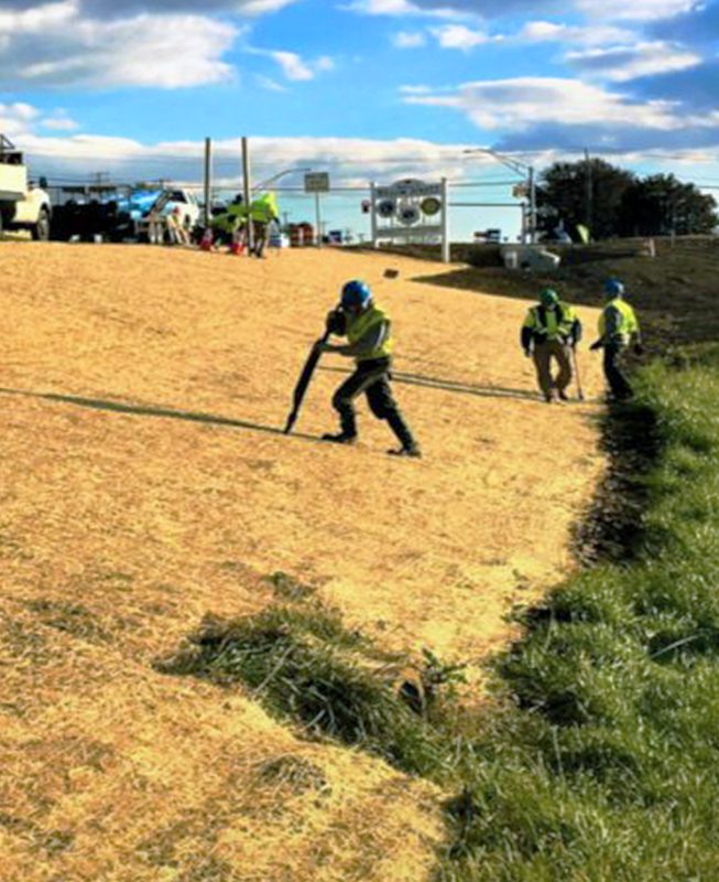 Landscaping Hardscaping Broderick’s Landscape PA, MD, DE